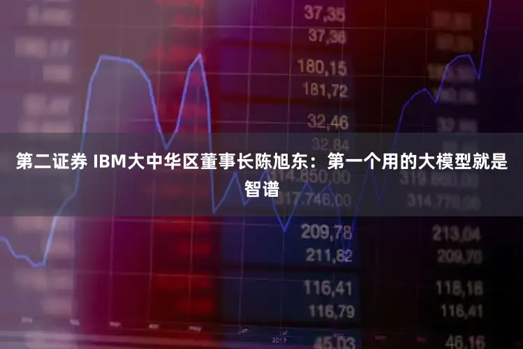 第二证券 IBM大中华区董事长陈旭东：第一个用的大模型就是智谱