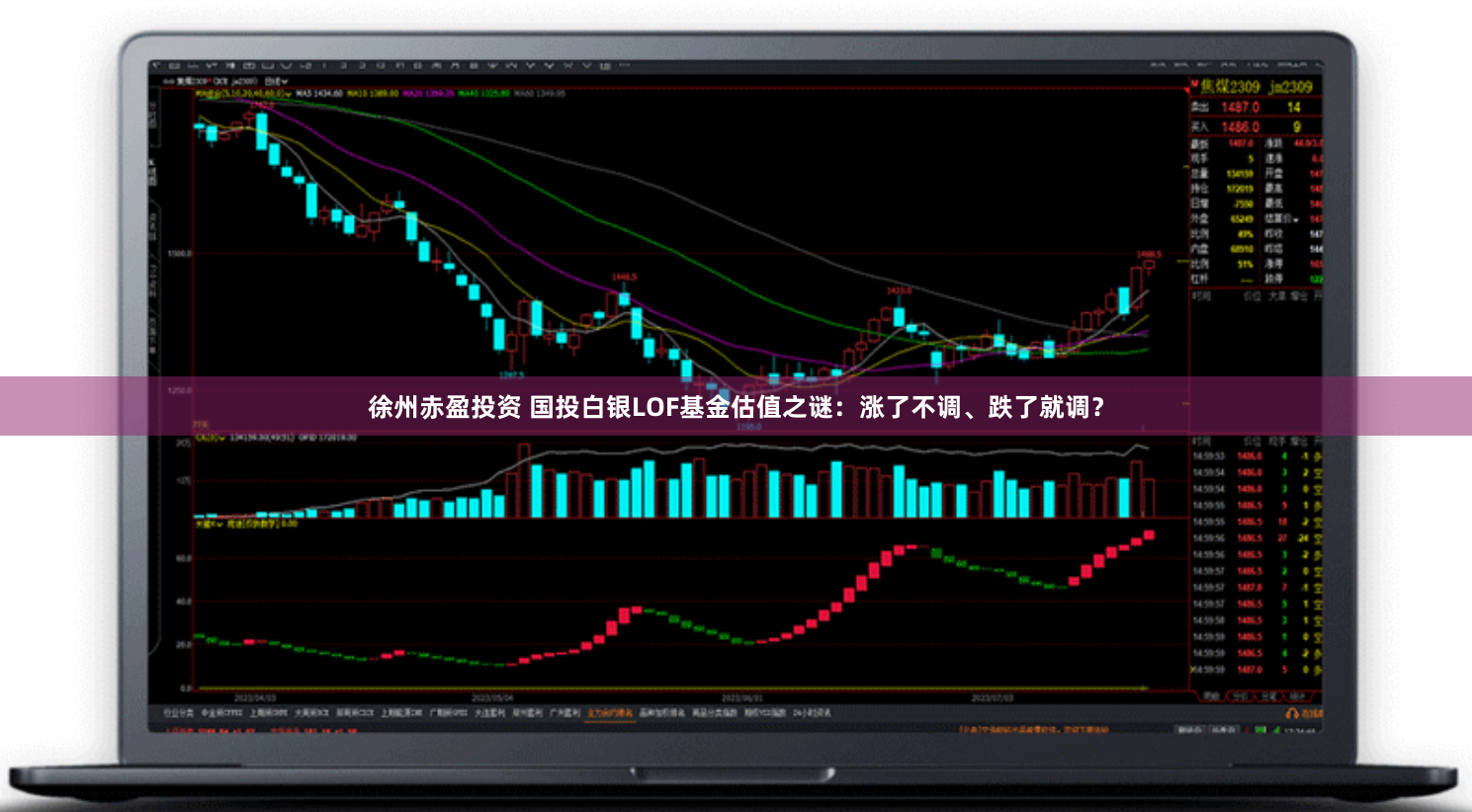 徐州赤盈投资 国投白银LOF基金估值之谜：涨了不调、跌了就调？