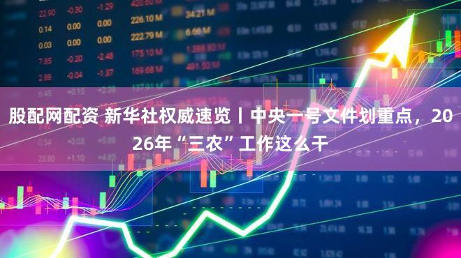股配网配资 新华社权威速览丨中央一号文件划重点，2026年“三农”工作这么干