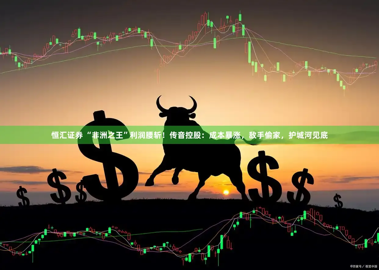 恒汇证券 “非洲之王”利润腰斩！传音控股：成本暴涨，敌手偷家，护城河见底