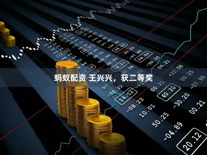 蚂蚁配资 王兴兴，获二等奖