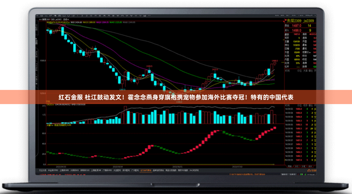 红石金服 杜江鼓动发文！霍念念燕身穿旗袍携宠物参加海外比赛夺冠！特有的中国代表