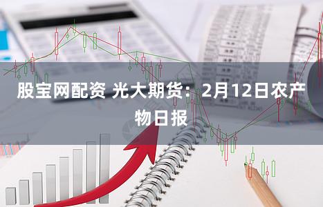 股宝网配资 光大期货：2月12日农产物日报