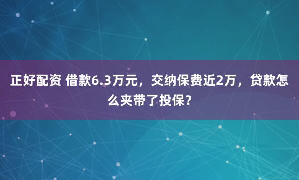 正好配资 借款6.3万元，交纳保费近2万，贷款怎么夹带了投保？