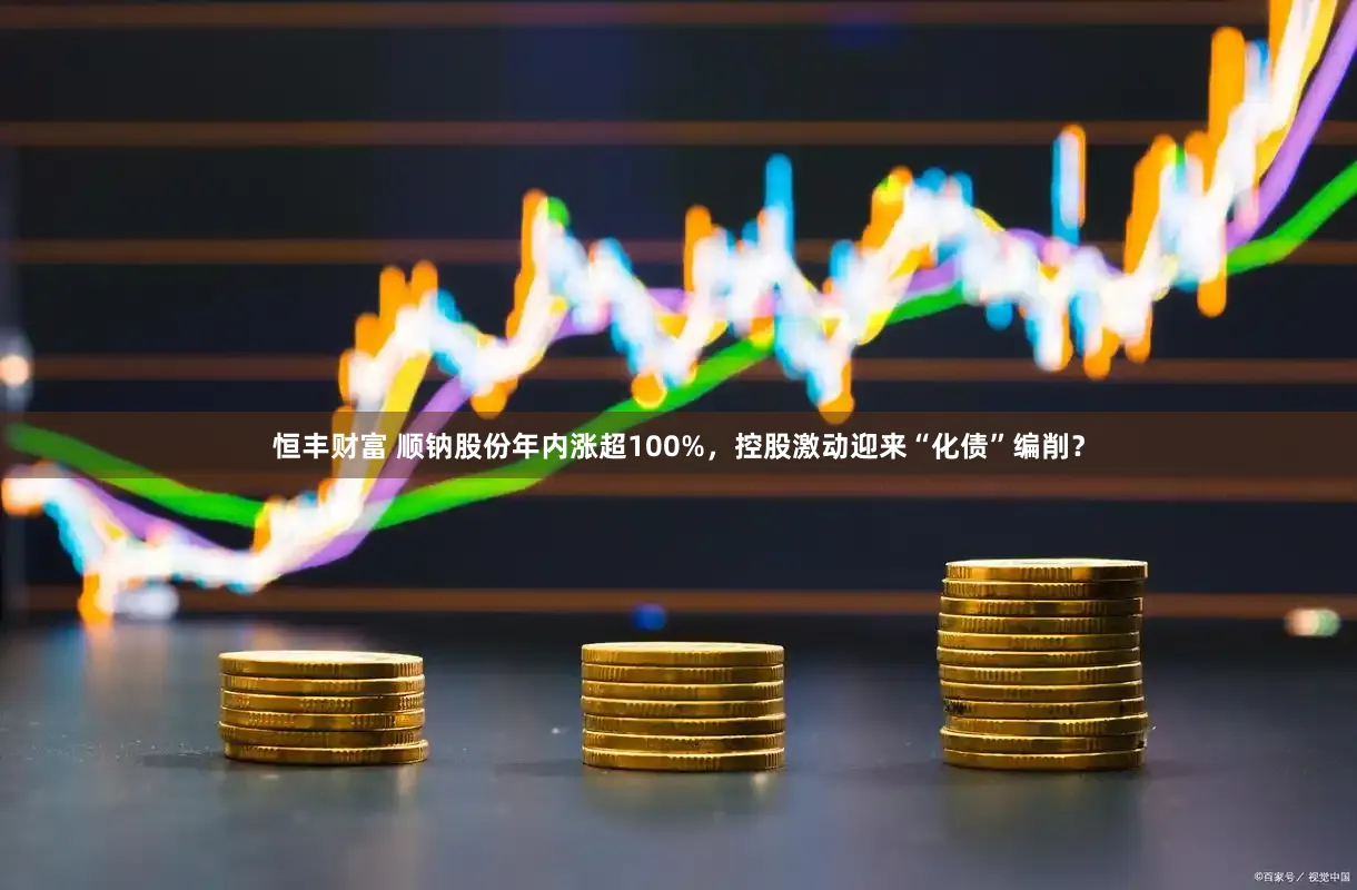 恒丰财富 顺钠股份年内涨超100%，控股激动迎来“化债”编削？