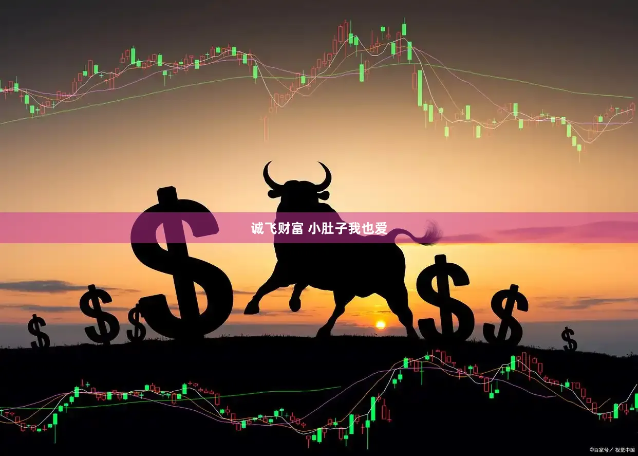 诚飞财富 小肚子我也爱