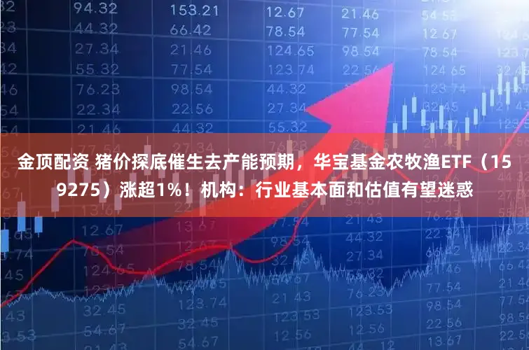 金顶配资 猪价探底催生去产能预期，华宝基金农牧渔ETF（159275）涨超1%！机构：行业基本面和估值有望迷惑