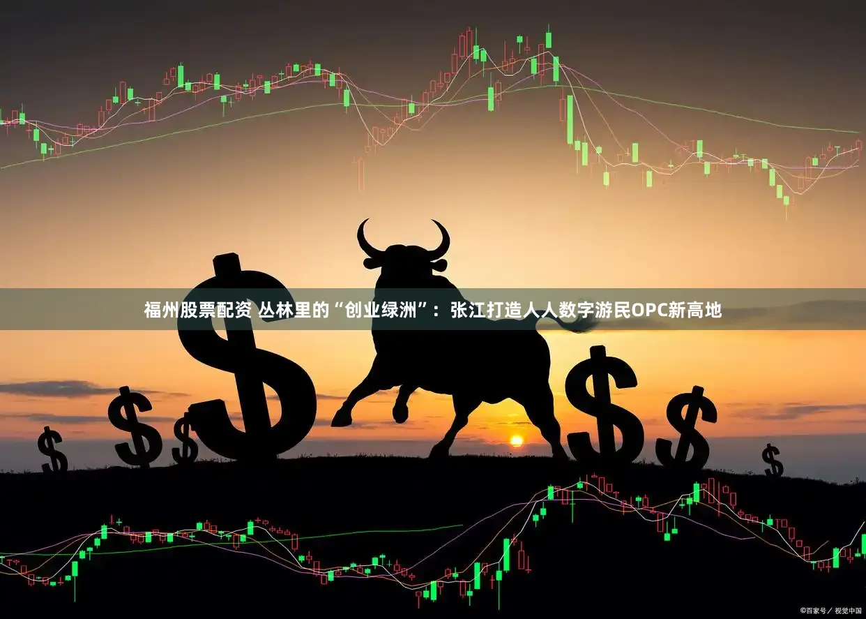 福州股票配资 丛林里的“创业绿洲”：张江打造人人数字游民OPC新高地