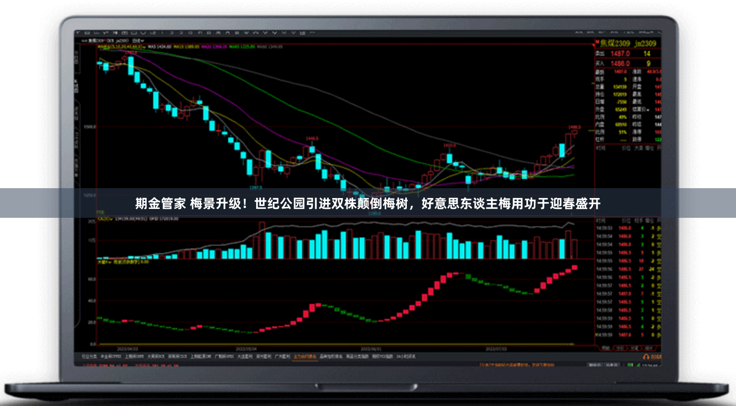 期金管家 梅景升级!世纪公园引进双株颠倒梅树,好意思东谈主梅用功于迎春盛开