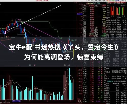 宝牛e配 书迷热搜《丫头，誓宠今生》为何能高调登场，惊喜束缚
